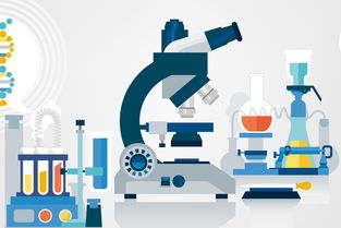 黑坑釣魚小藥自制全攻略 因地制宜調(diào)配，精準(zhǔn)應(yīng)對不同魚情